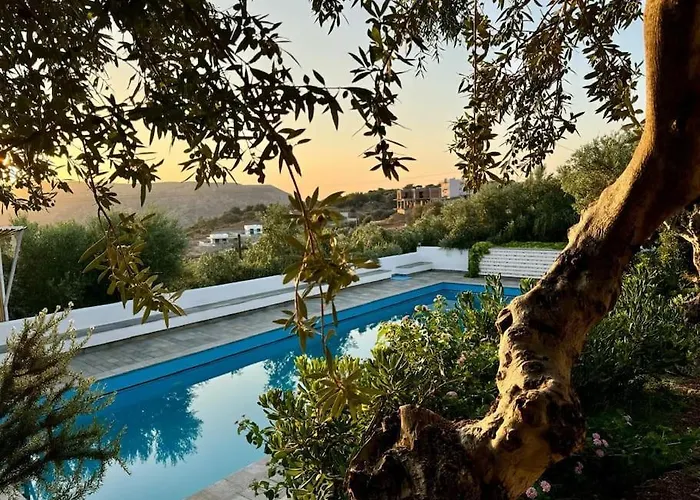 Olive Grove Serenity Villa