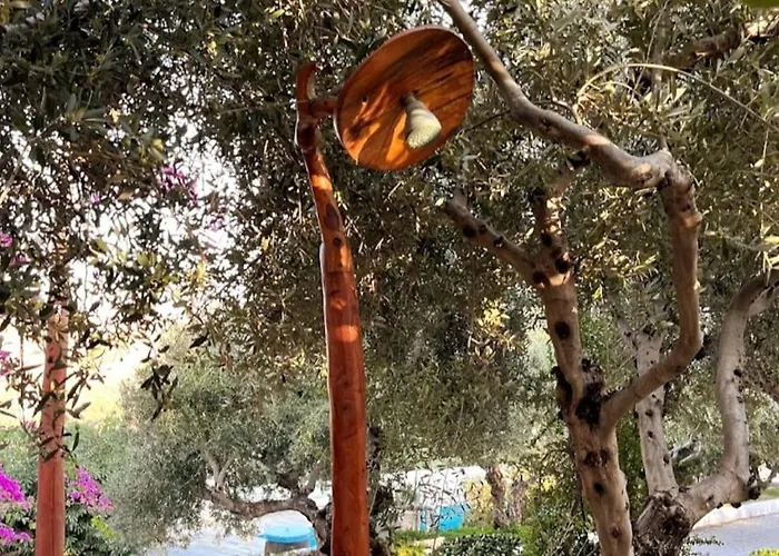 Olive Grove Serenity Villa